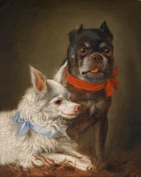 犬のポートレート